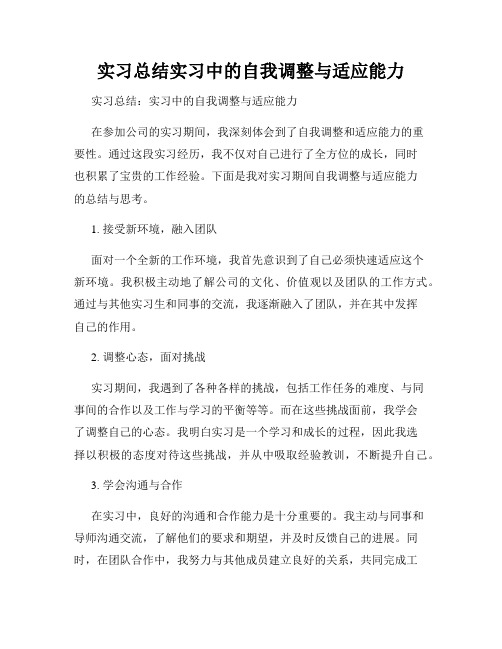 实习总结实习中的自我调整与适应能力