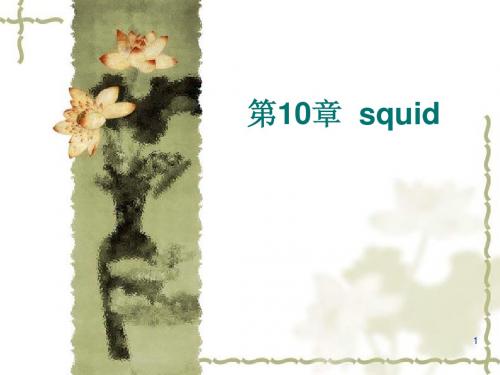 第10章 SQUID