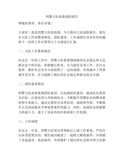 刑警大队政委述职报告