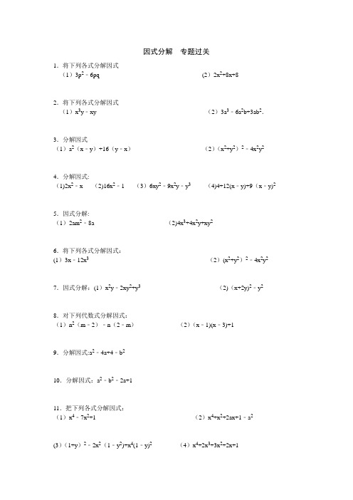 因式分解专项练习题(含答案)【范本模板】