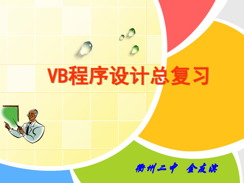 《VB总复习》课件