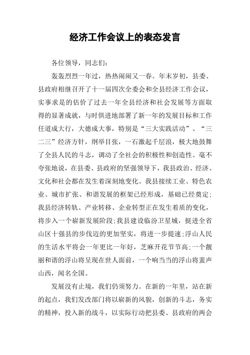 经济工作会议上的表态发言