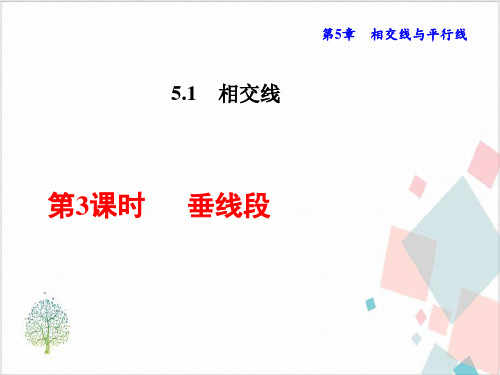 人教版初中数学《垂线》_教学课件