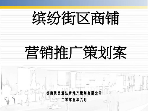 房地产营销策划-缤纷街区商铺营销推广策划案1