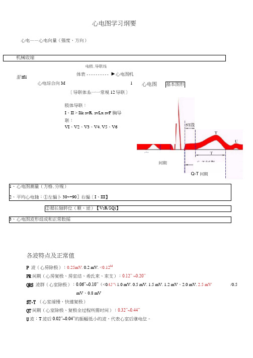 诊断学心电图学习纲要