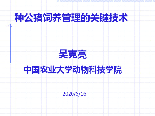 种公猪饲养管理的关键技术ppt