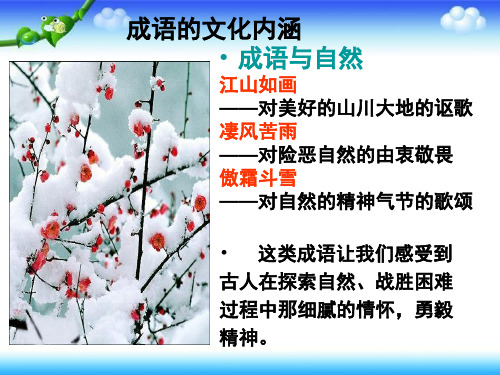 初中语文毕业总复习《成语》专项复习
