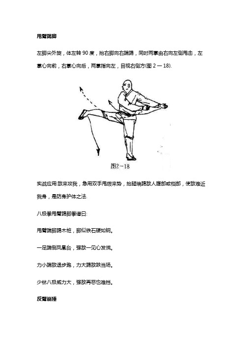 少林开门八极拳十三十四式甩臂踢脚和反臂崩捶