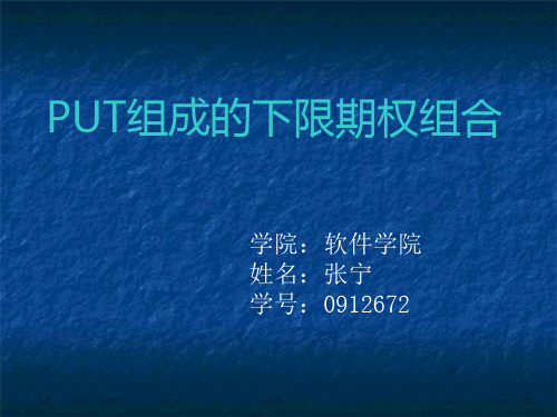 PUT下限期权组合 PPT