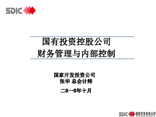 国有投资控股公司.pptx