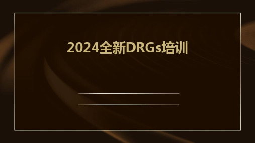 2024全新DRGs培训