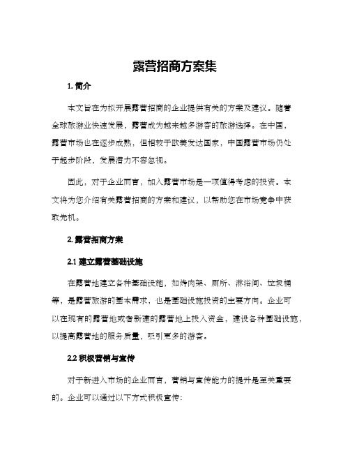 露营招商方案集