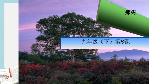 九年级语文下册新人教版10那树ppt课件(精选)