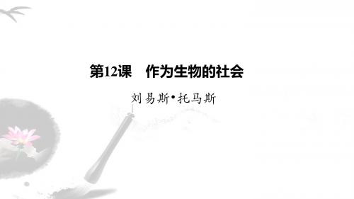 2019-2020版语文新一线同步导学人教(课件+讲义+精练) (3)