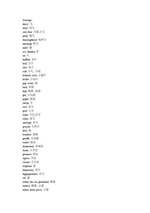 动物园动物英文词汇