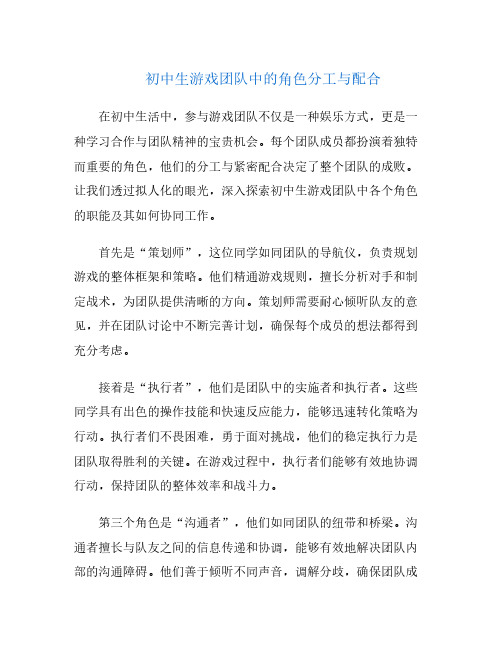 初中生游戏团队中的角色分工与配合