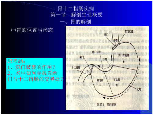 十二指肠的解剖生理解剖