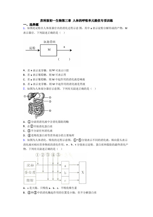 苏科版初一生物第三章 人体的呼吸单元提优专项训练