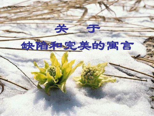 高三语文缺陷与完满