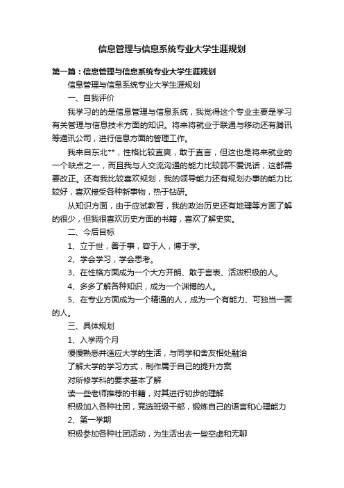 信息管理与信息系统专业大学生涯规划