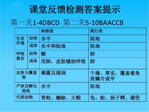 山东省高密市银鹰文昌中学七年级生物上册 动物的主要类群鸟类和哺乳类课件 济南版