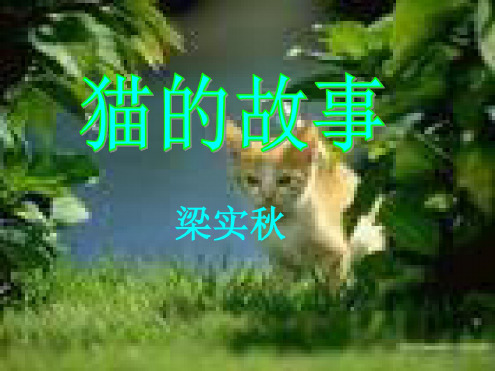 七年级语文猫的故事