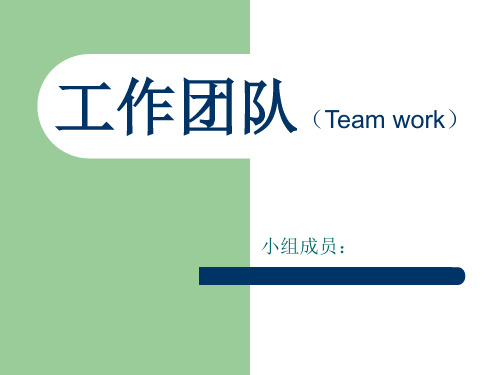 工作团队(Team work)解读