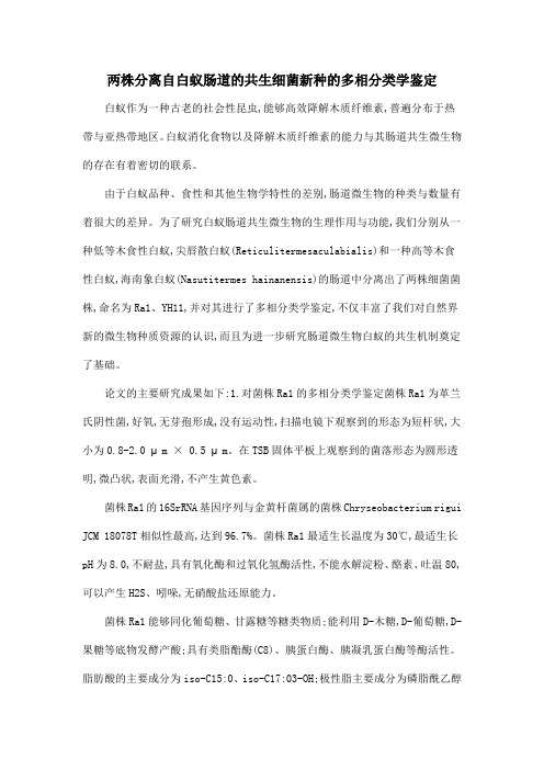 两株分离自白蚁肠道的共生细菌新种的多相分类学鉴定