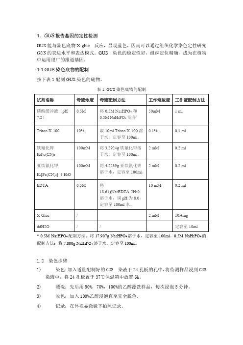 GUS基因的定性和定量检测