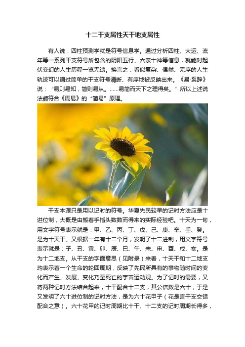 十二干支属性天干地支属性