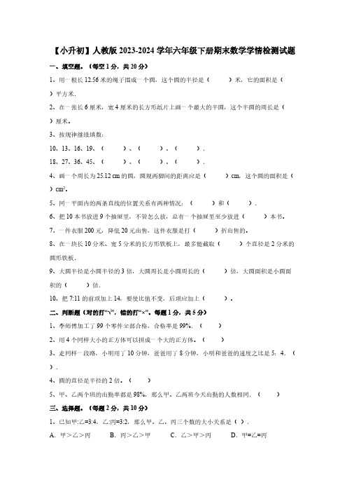 【小升初】人教版2023-2024学年六年级下册期末数学学情检测试题(附答案)