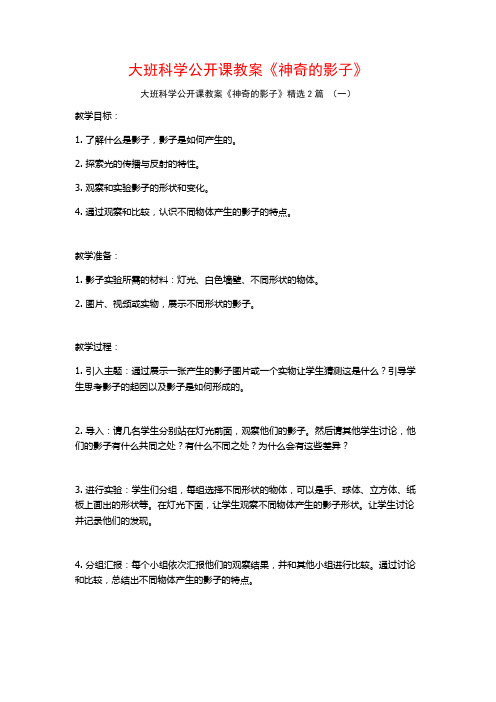 大班科学公开课教案《神奇的影子》2篇