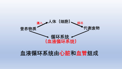 9.1 血液 课时1 北师大版七年级下册生物课件(共22张PPT)