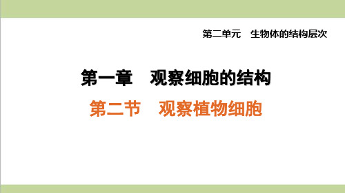 鲁科版五四制六年级上册生物 2.1.2 观察植物细胞 重点习题练习复习课件