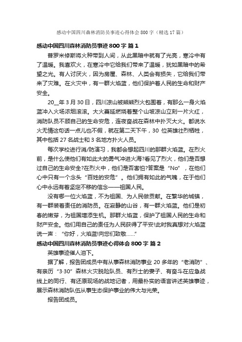 感动中国四川森林消防员事迹心得体会800字（精选17篇）