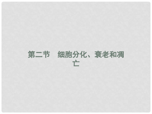 高中生物 第五章 细胞增殖、分化、衰老和凋亡 5.2 细胞分化、衰老和凋亡课件 苏教版必修1