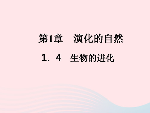 九年级科学下册第1章演化的自然1-4生物的进化作业课件新版浙教版