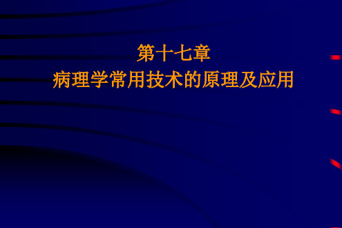 病理学常用技术的原理及应用_病理学课件