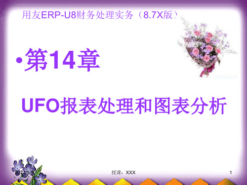 UFO报表处理和图表分析实训PPT课件