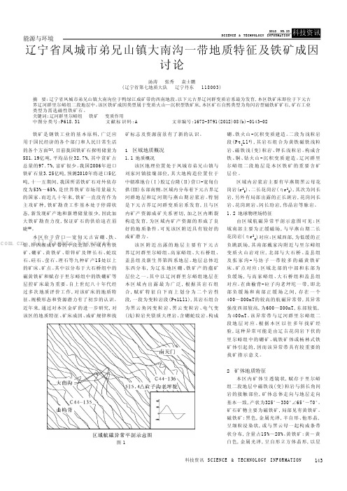 辽宁省凤城市弟兄山镇大南沟一带地质特征及铁矿成因讨论