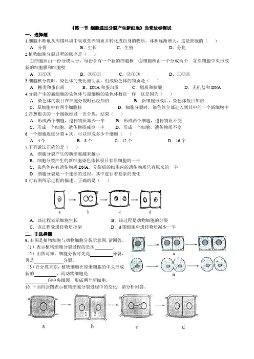 细胞通过分裂产生新细胞》当堂达标测试 (1)