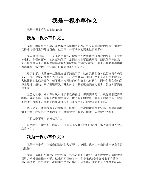 我是一棵小草作文