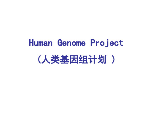 Human genome project 人类基因组计划