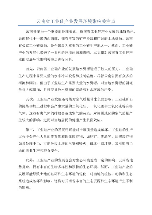 云南省工业硅产业发展环境影响关注点