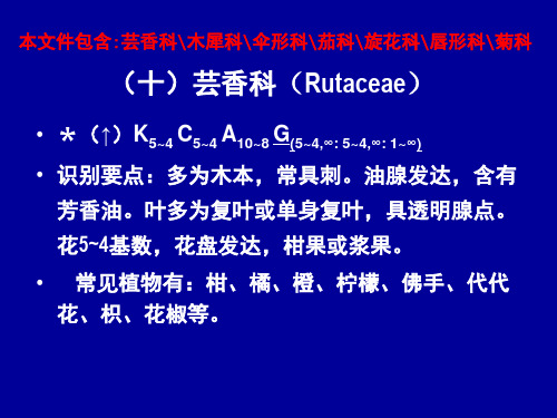 第十一章 分类分科双3