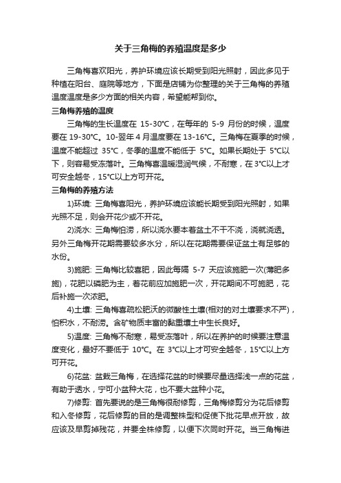 关于三角梅的养殖温度是多少