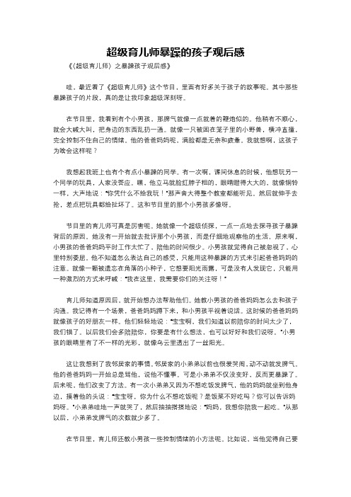 超级育儿师暴躁的孩子观后感