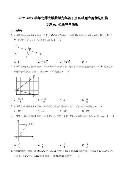 专题01 锐角三角函数(原卷版)