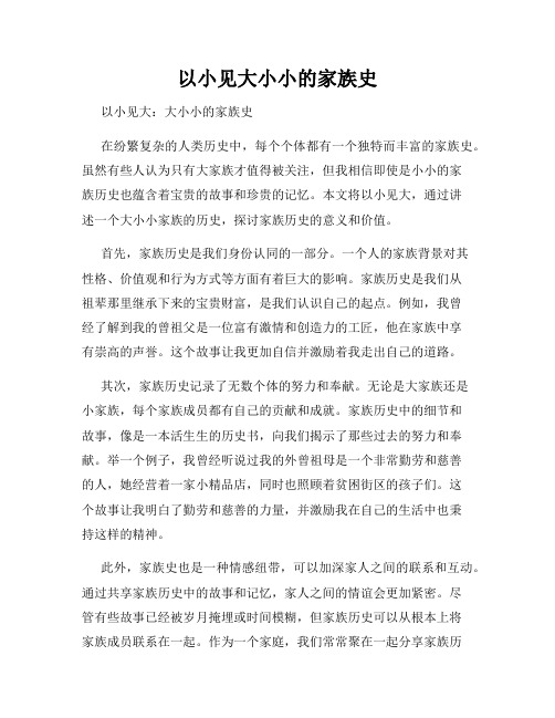 以小见大小小的家族史