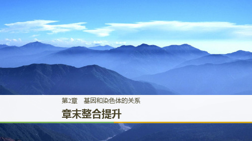 2019_2020学年高一人教版生物必修二课件:第2章 章末整合提升